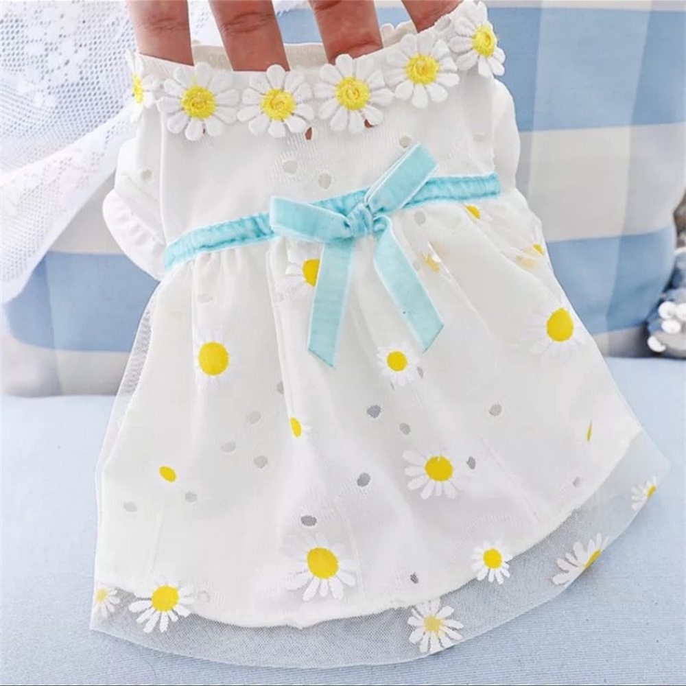 Summer dress for dogs